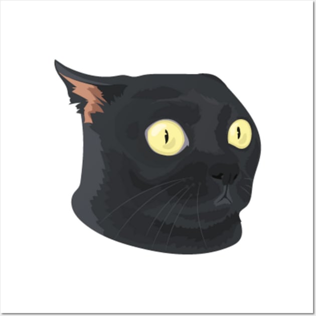 Black cat surprised Wall Art by DesignArtsShop